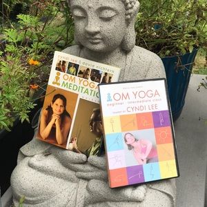 Cyndi Lee DVD 📀 Bundle